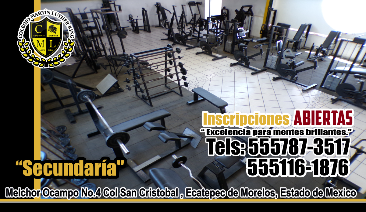 imagenes web MLK banner promociones 172