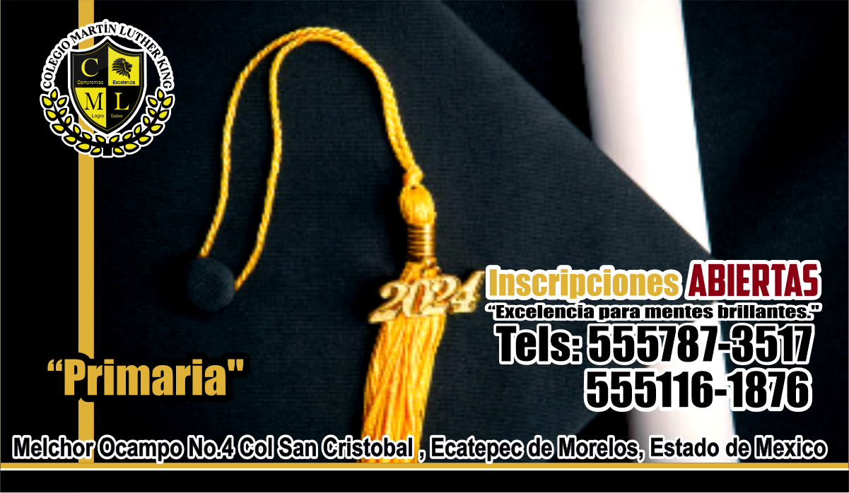 imagenes web MLK banner promociones 195