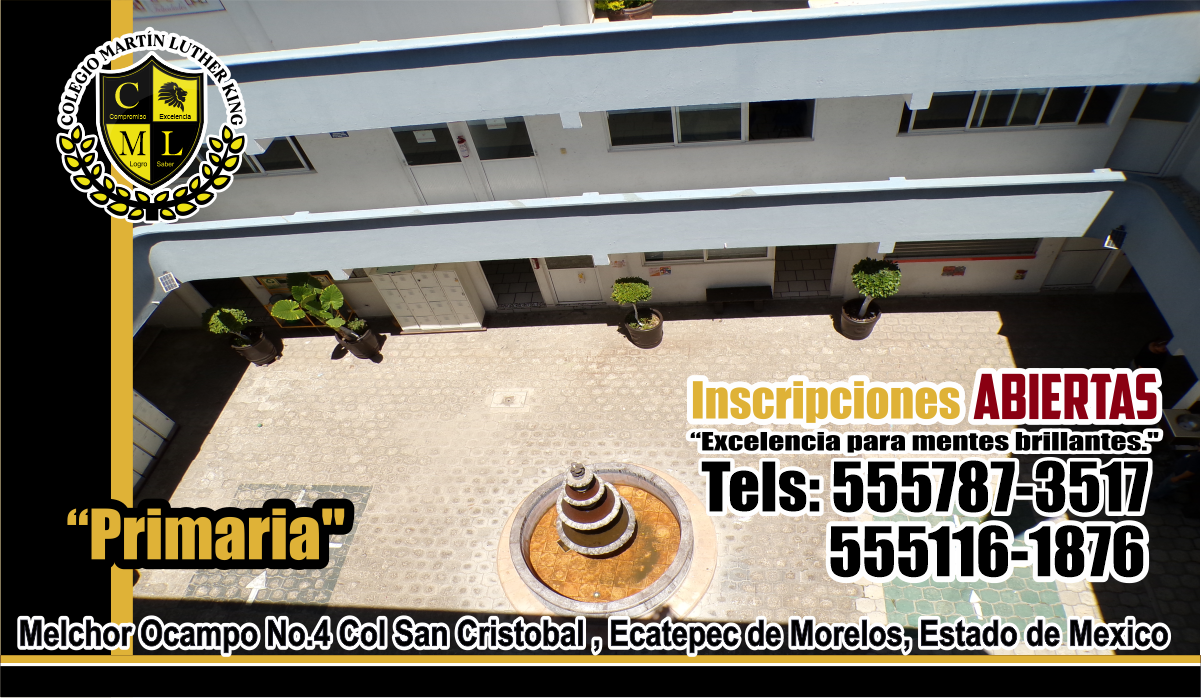 imagenes web MLK banner promociones 22